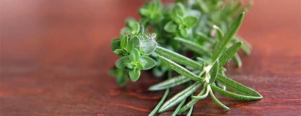 A sprig of thyme and rosemary